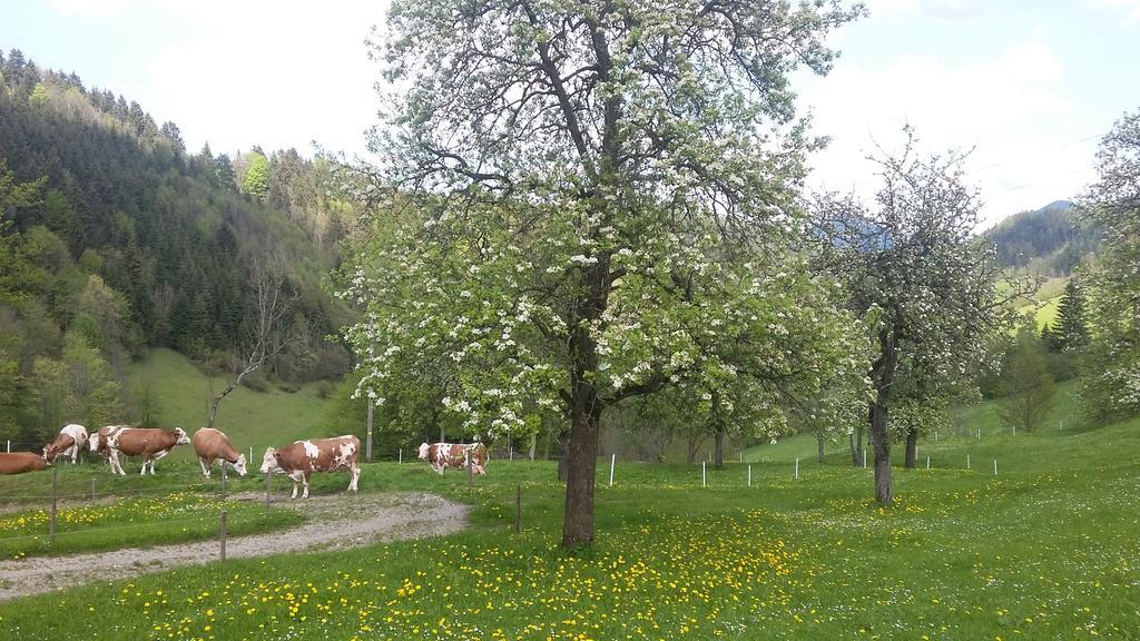 Eggbauer Villa Sankt Anton an der Jessnitz ภายนอก รูปภาพ